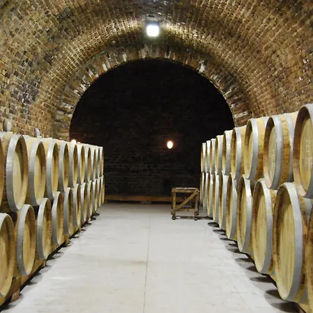 Jackfall és Apartamento *