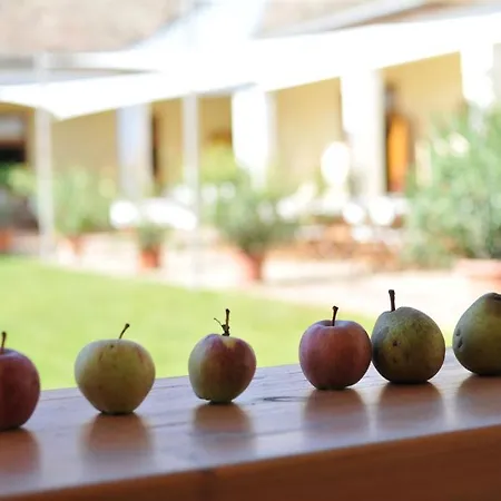 Jackfall és * Kisjakabfalva