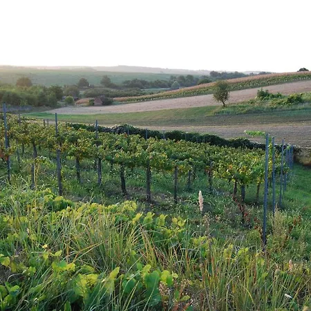 Jackfall és Apartamento *