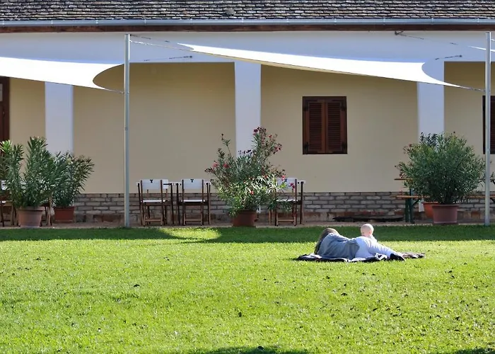 Apartament Jackfall Es Fogado
